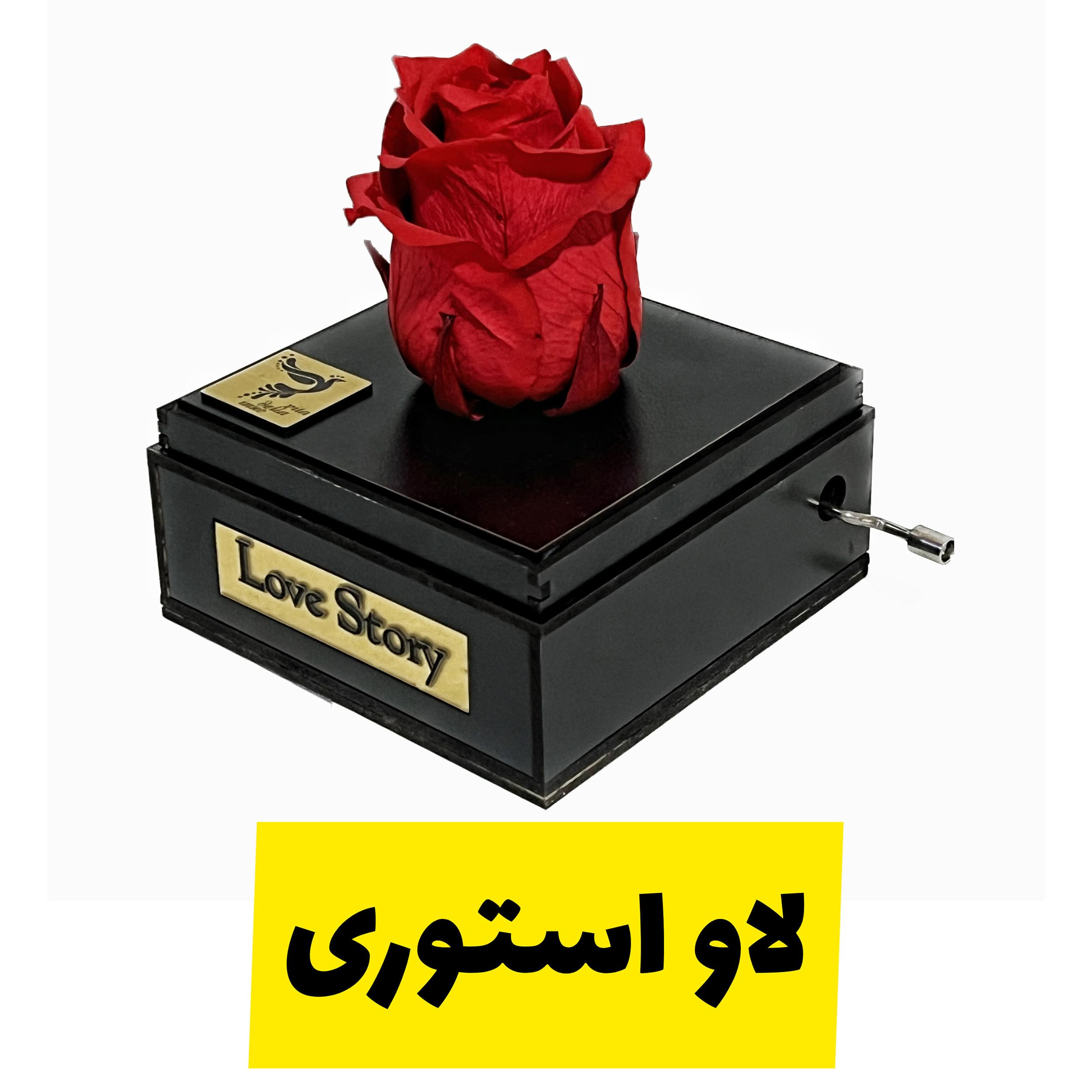 جعبه موزیکال لاو استوری با گل رز جاودان برند اینو دلا ویتا با ماندگاری بیش از ۵ سال